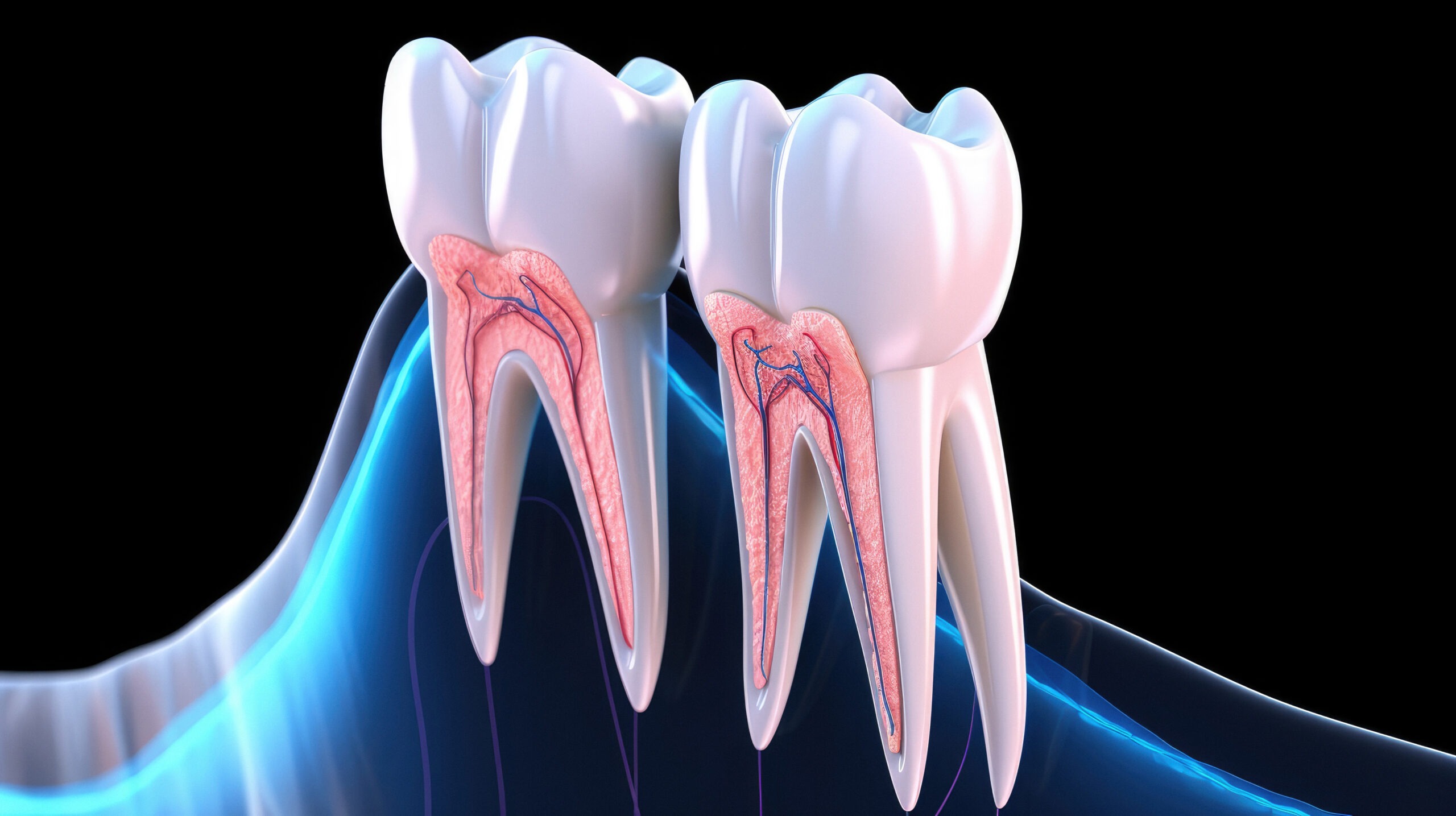 endo-dontics-2-scaled